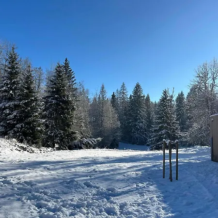 Gite De Prestige En Pleine Nature Prémanon Buitenkant foto